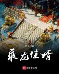 乘龍佳婿